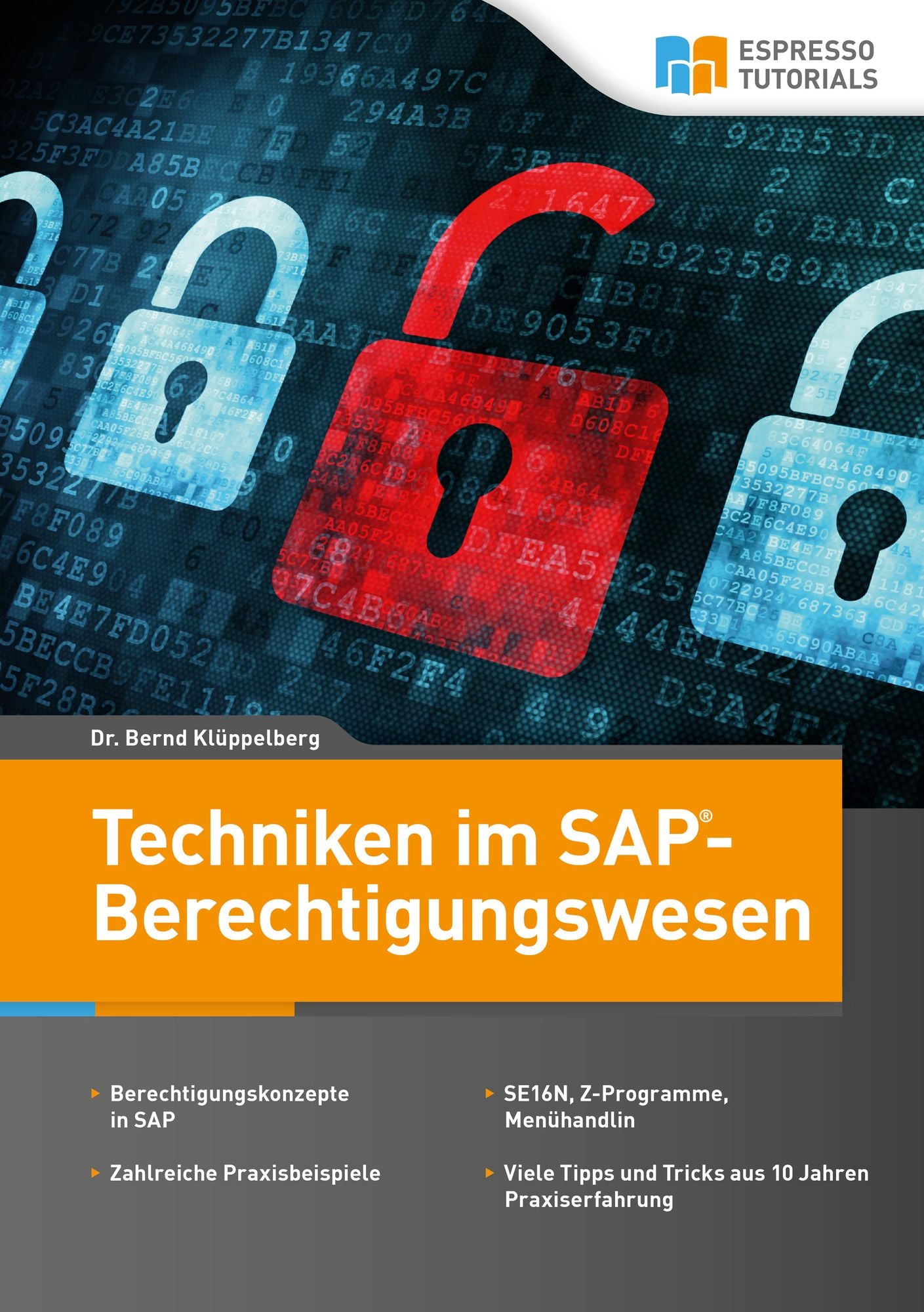 Techniken im SAP - Berechtigungswesen