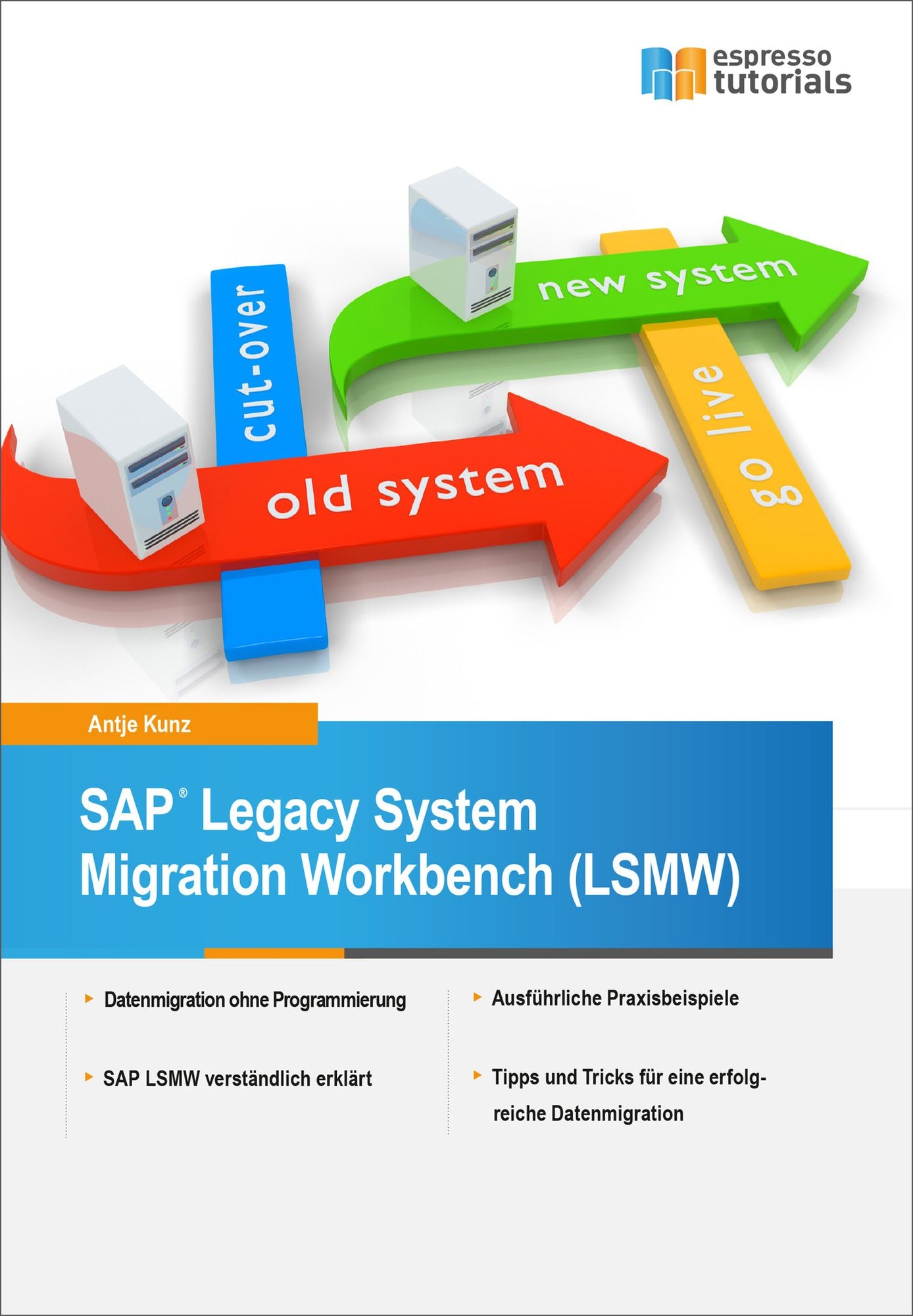 SAP Legacy System Migration Workbench (LSMW)