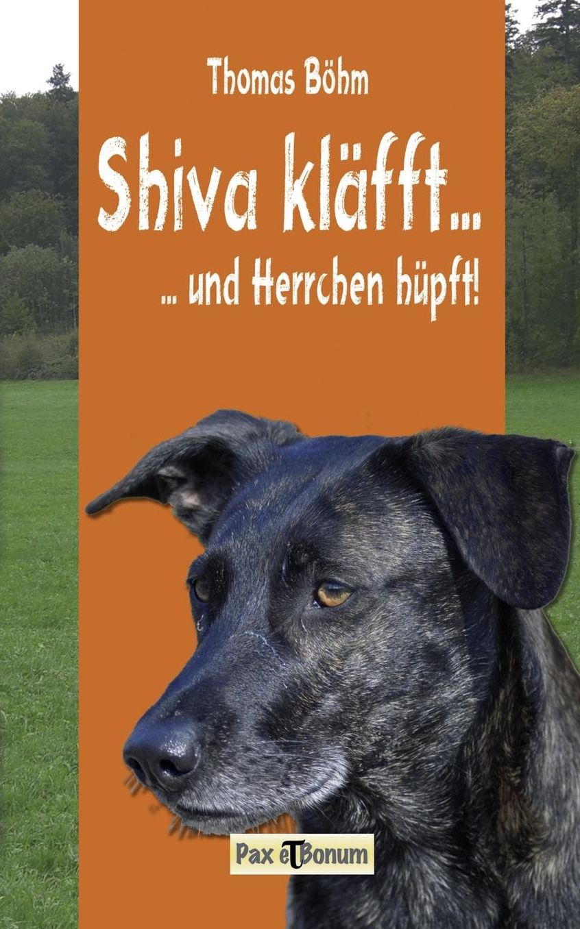 Shiva kl fft