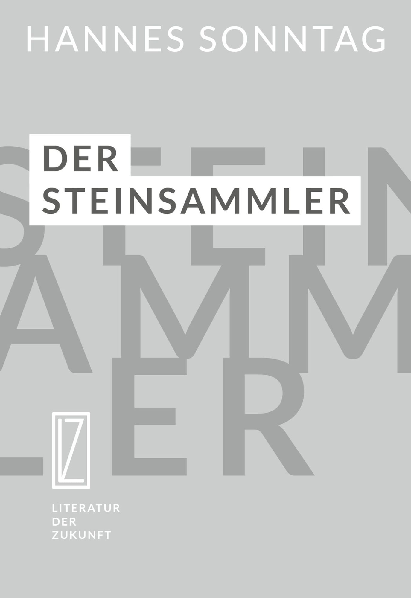 Der Steinsammler: Bericht eines Augenzeugen