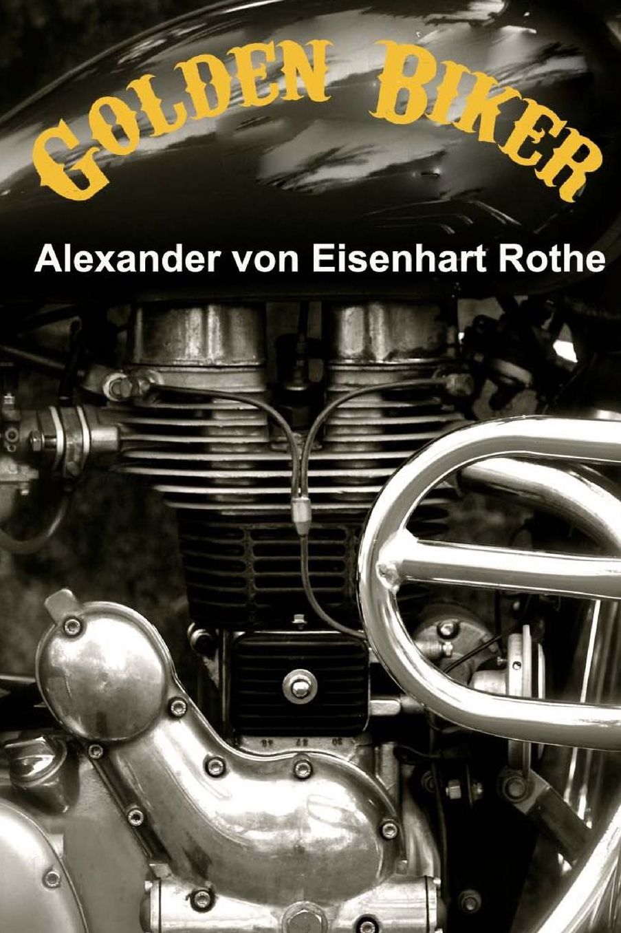 Golden Biker (English edition): A road-movie-adventure novel in India