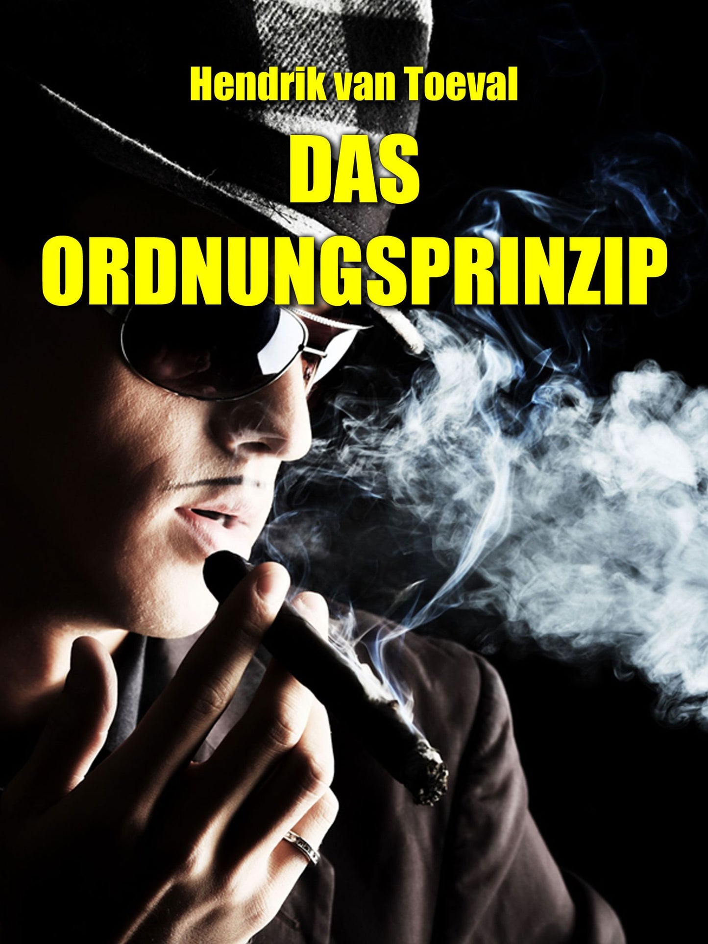 Das Ordnungsprinzip: Kompaktroman