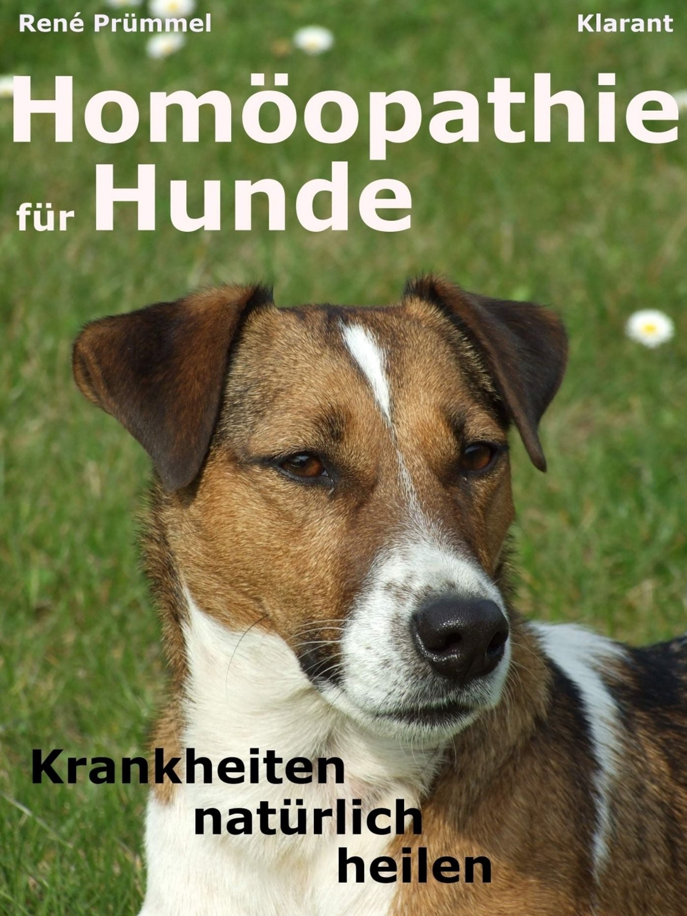 Homöopathie für Hunde: Der Praxisratgeber: Krankheiten natürlich heilen