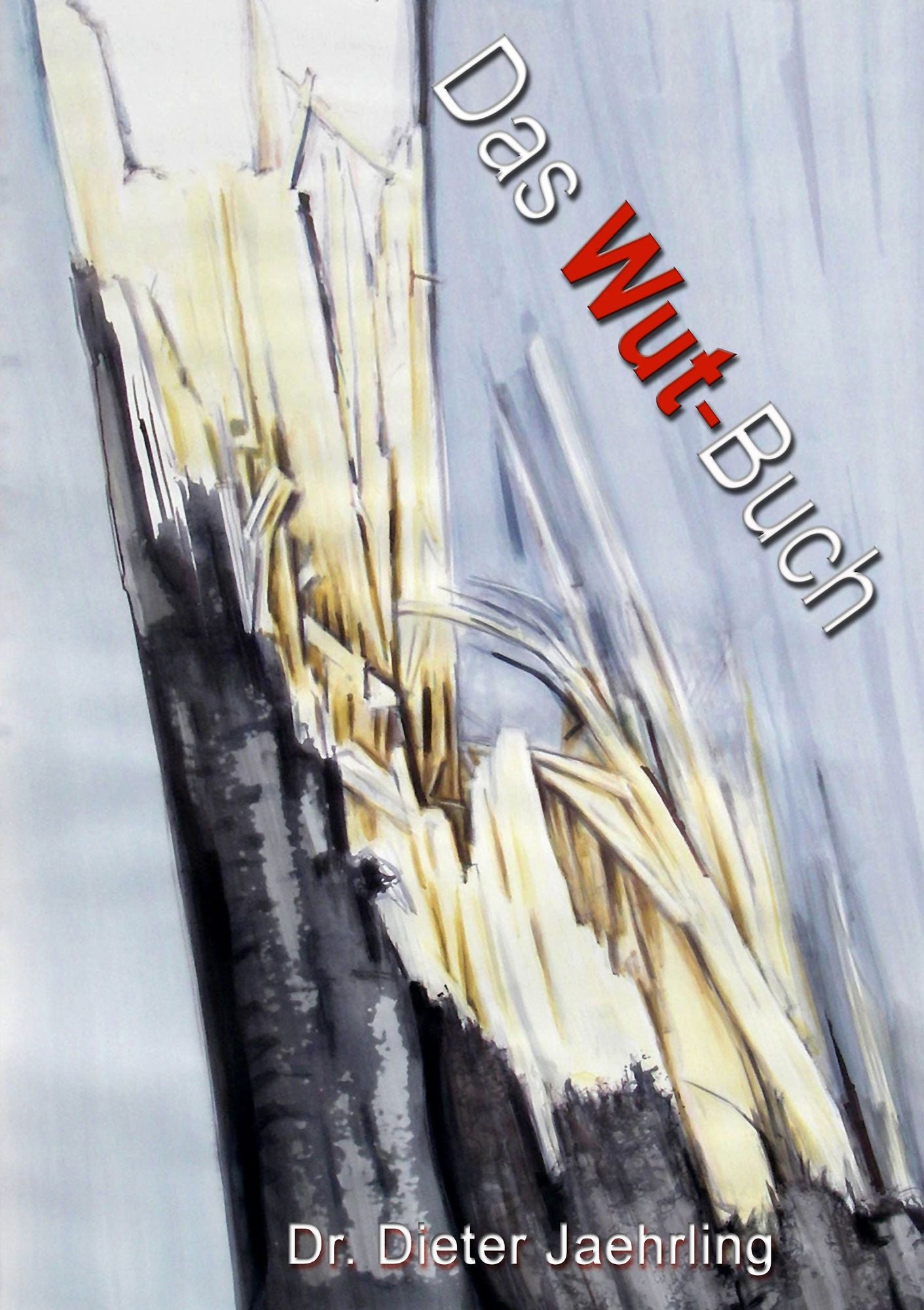 Das Wutbuch: Mir reichts! Armes Deutschland