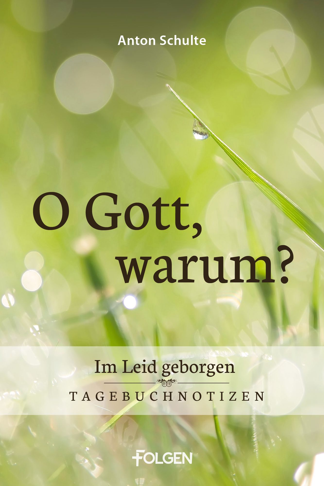 O Gott, warum?: Im Leid geborgen - Tagebuchnotizen