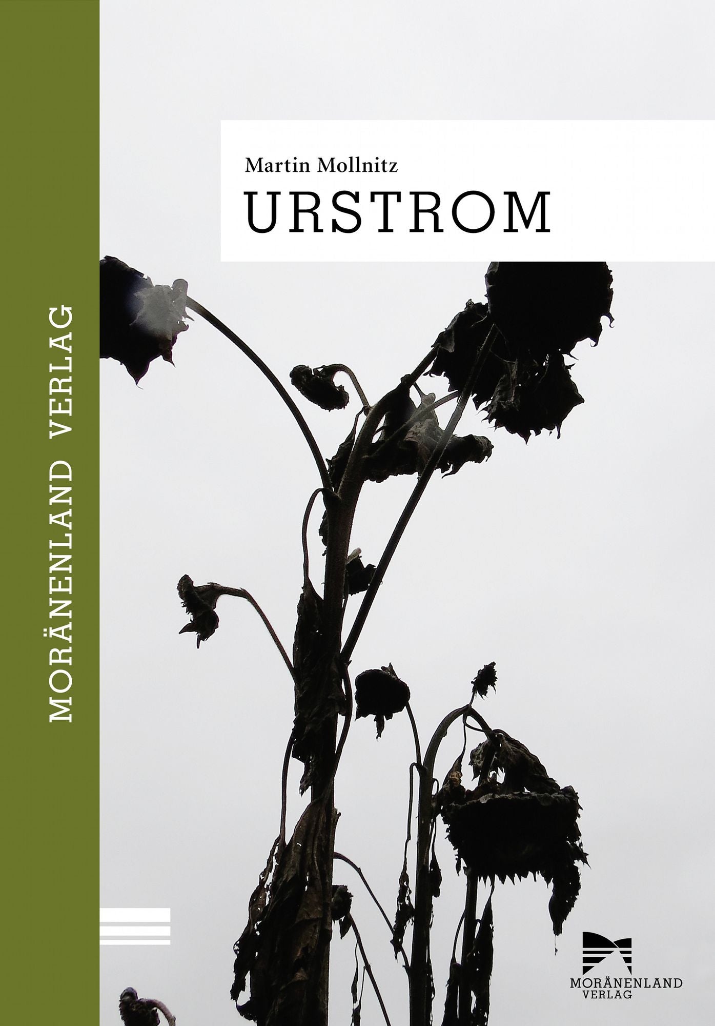 Urstrom: Gedichte