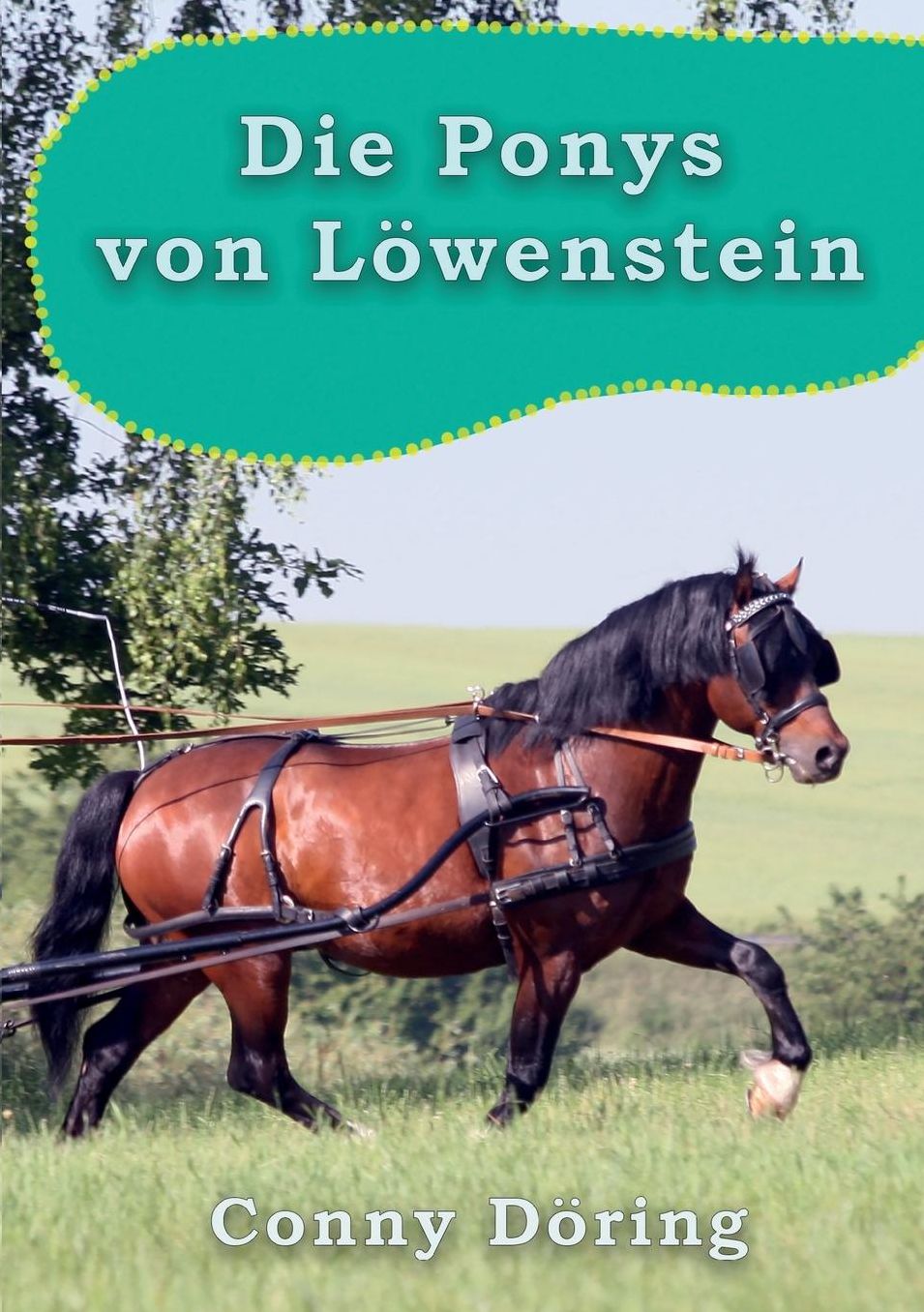 Die Ponys von Löwenstein