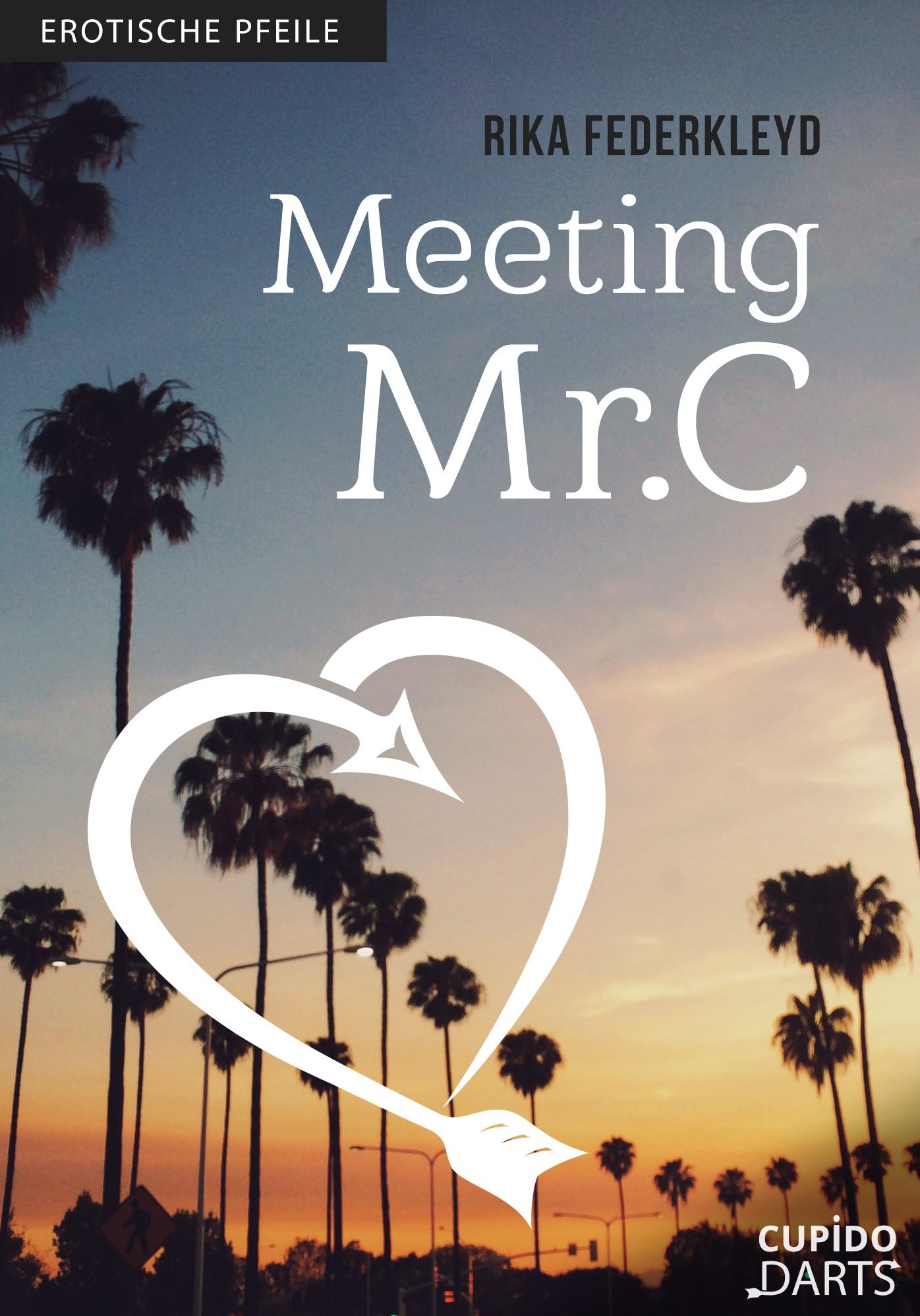 Cupido Darts - Meeting Mr. C: Erotische Pfeile