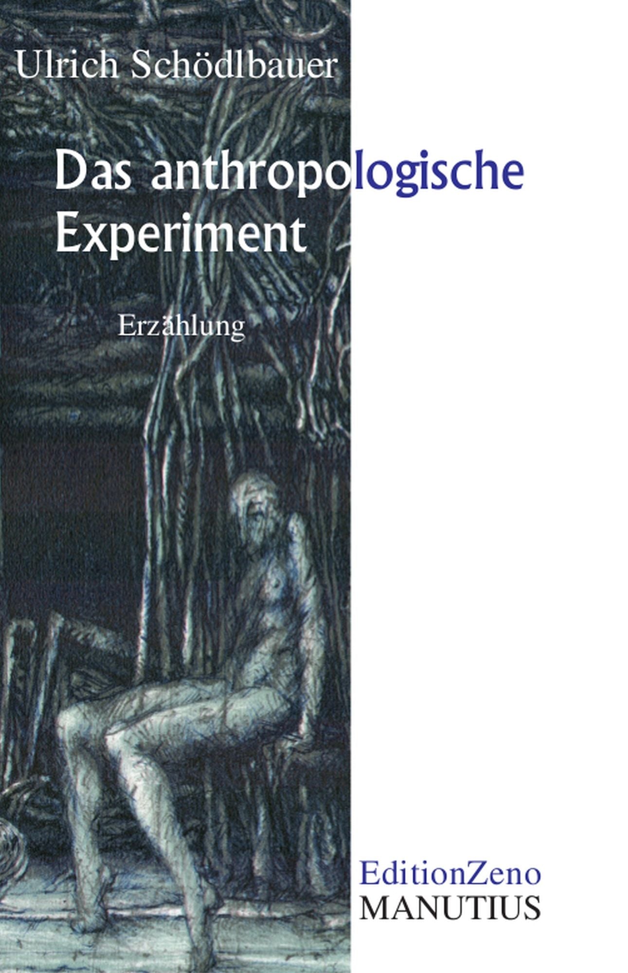 Das anthropologische Experiment: Erzählung