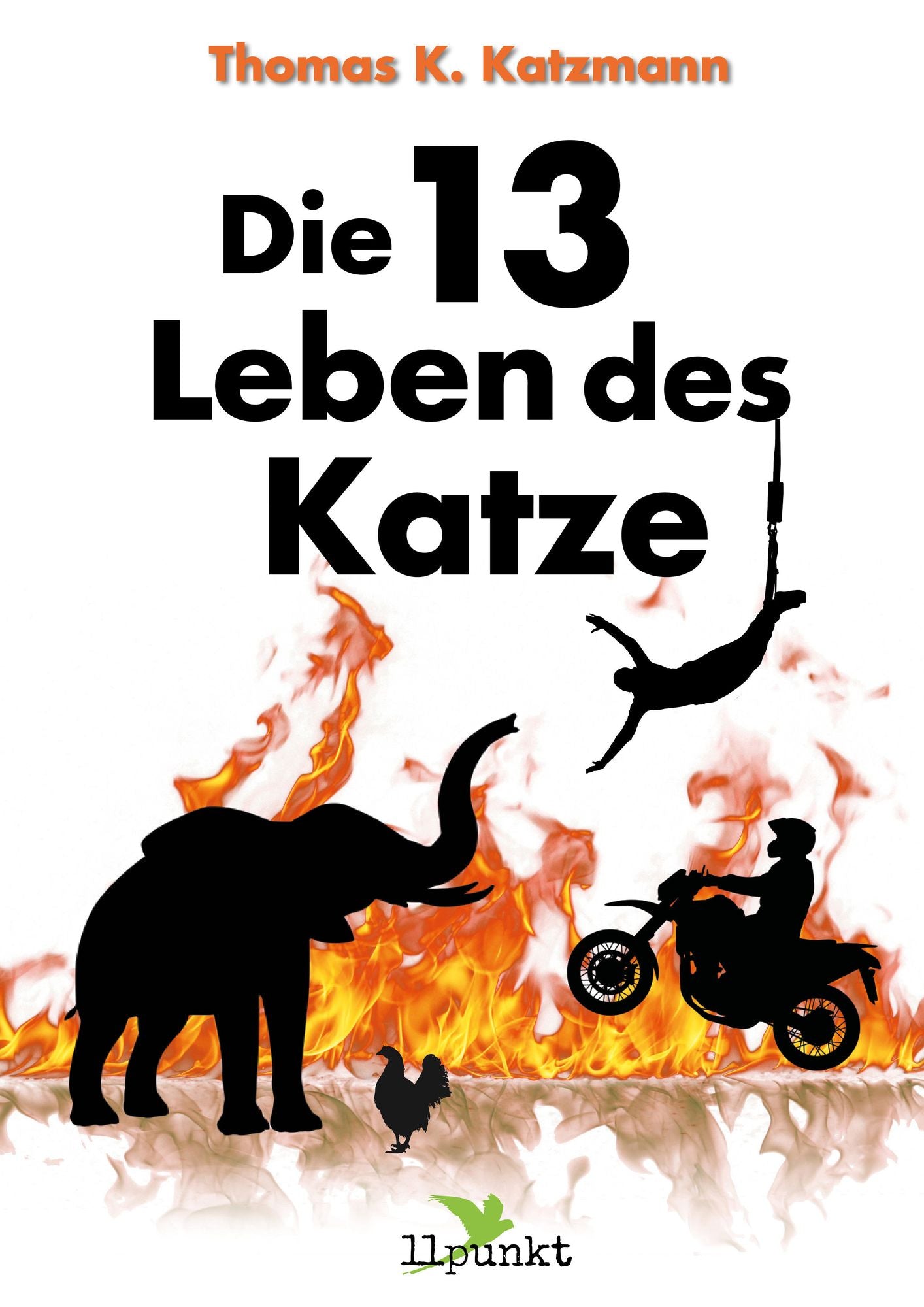Die 13 Leben des Katze: Erzählungen eines Stuntman