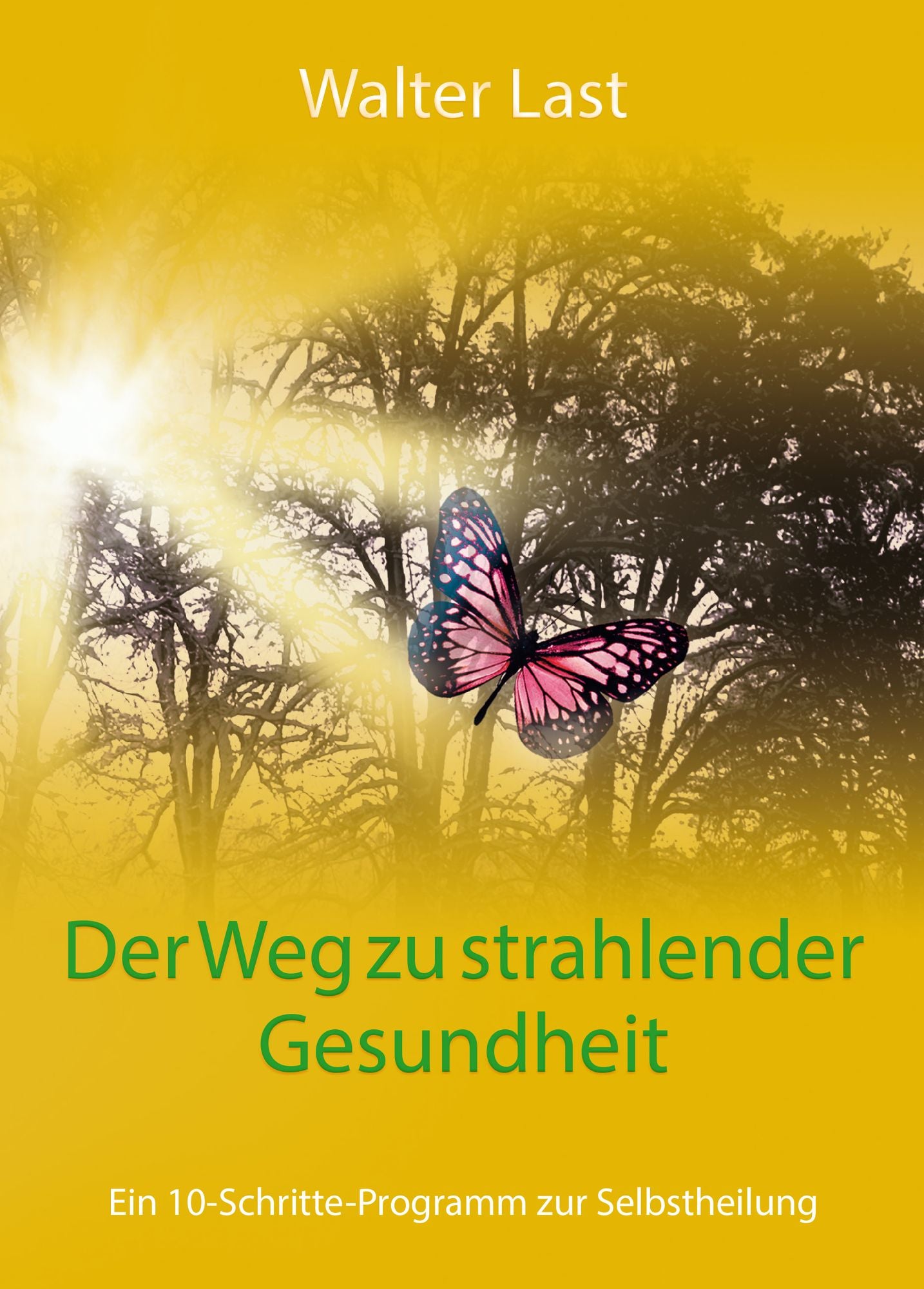Der Weg zu strahlender Gesundheit: Ein 10-Schritte-Programm zur Selbstheilung