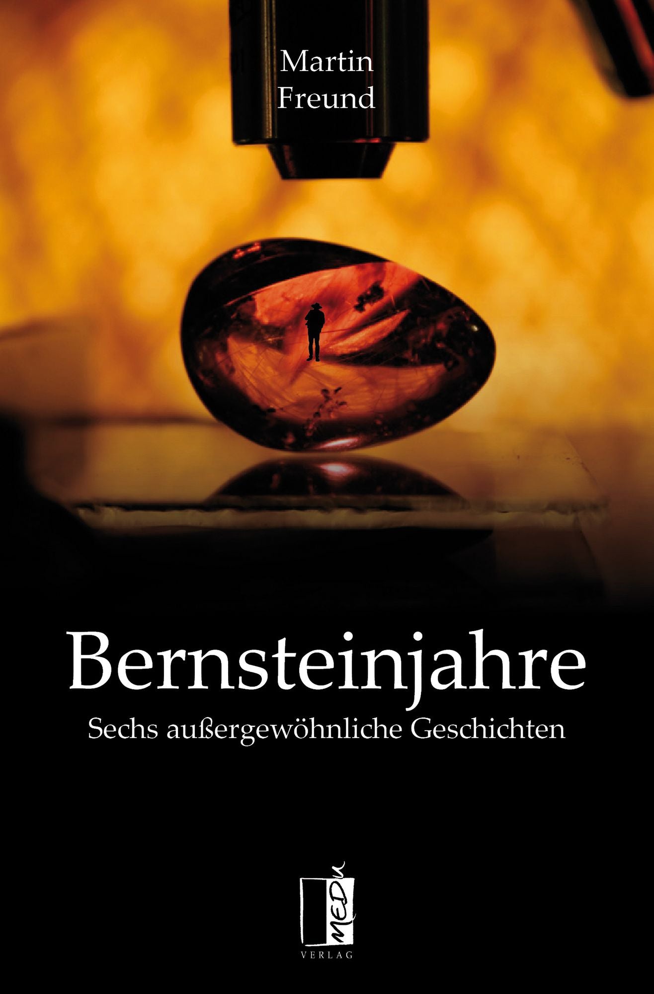 Bernsteinjahre: Sechs außergewöhnliche Geschichten