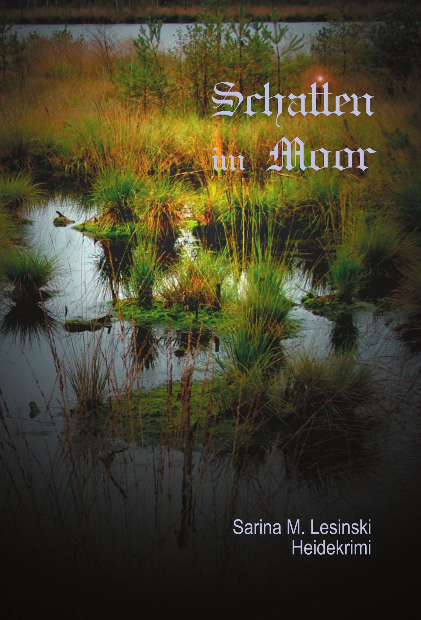 Schatten im Moor
