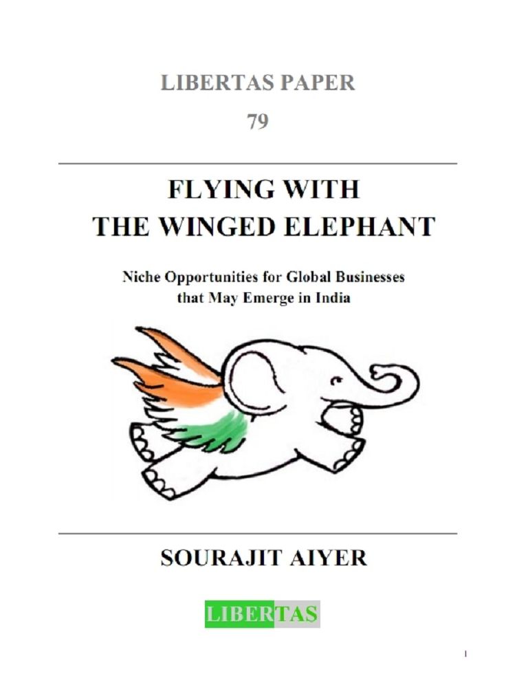 FLYING WITH THE WINGED ELEPHANT: Niche Opportunities for Global Businesses that May Emerge in India