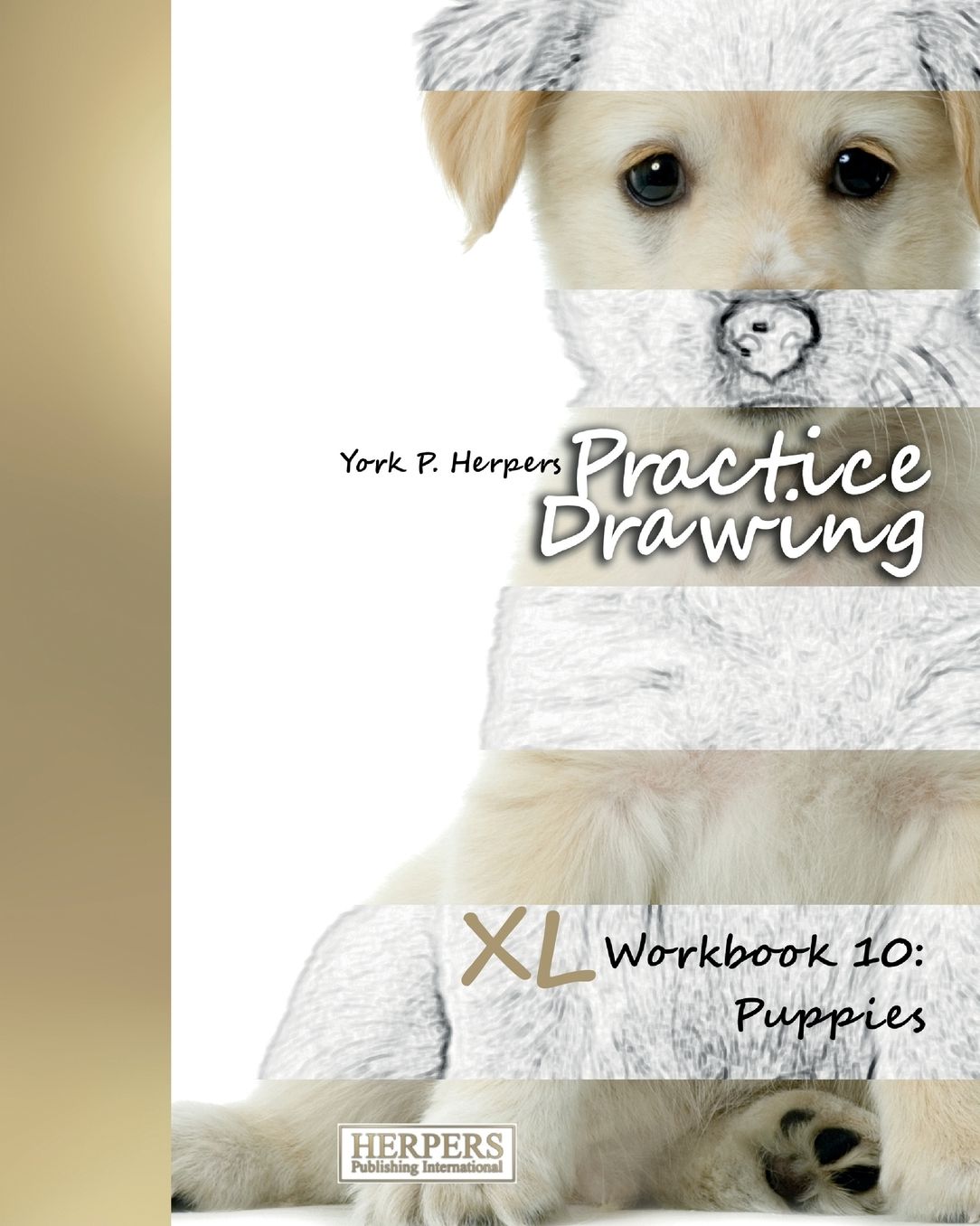 Practice Drawing - XL Workbook 10: Puppies