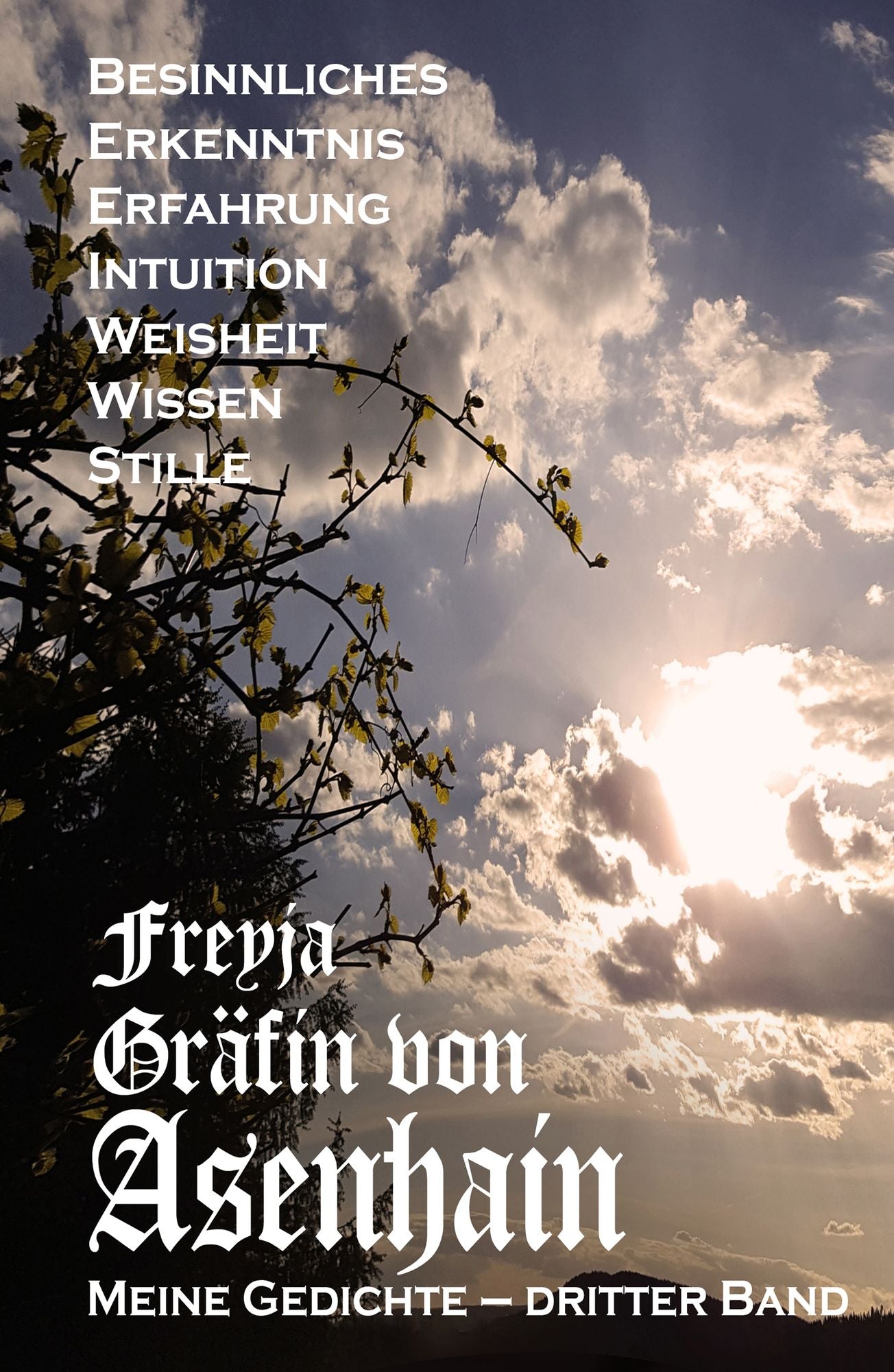 Meine Gedichte: Dritter Band