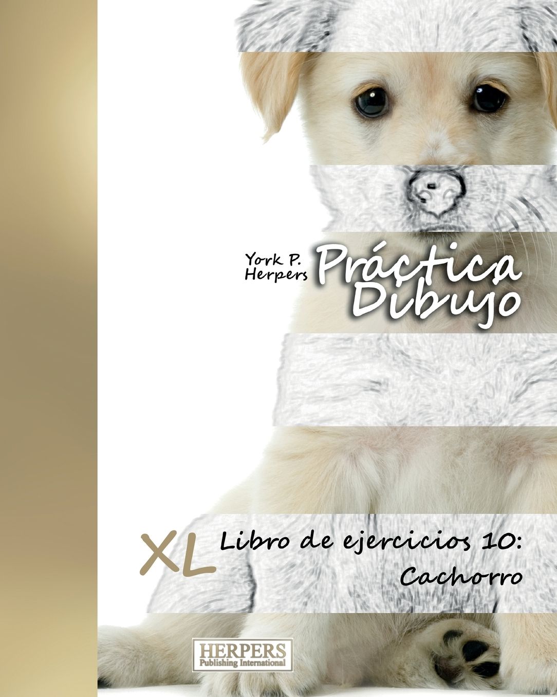 Práctica Dibujo - XL Libro de ejercicios 10: Cachorro