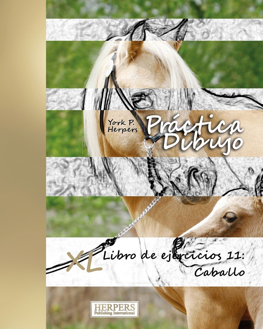 Práctica Dibujo - XL Libro de ejercicios 11: Caballo