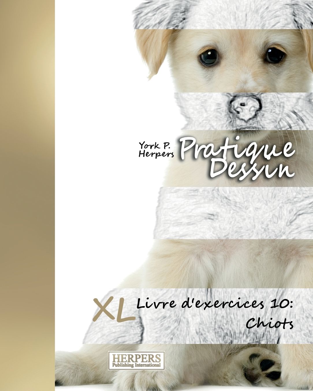 Pratique Dessin - XL Livre d'exercices 10: Chiots