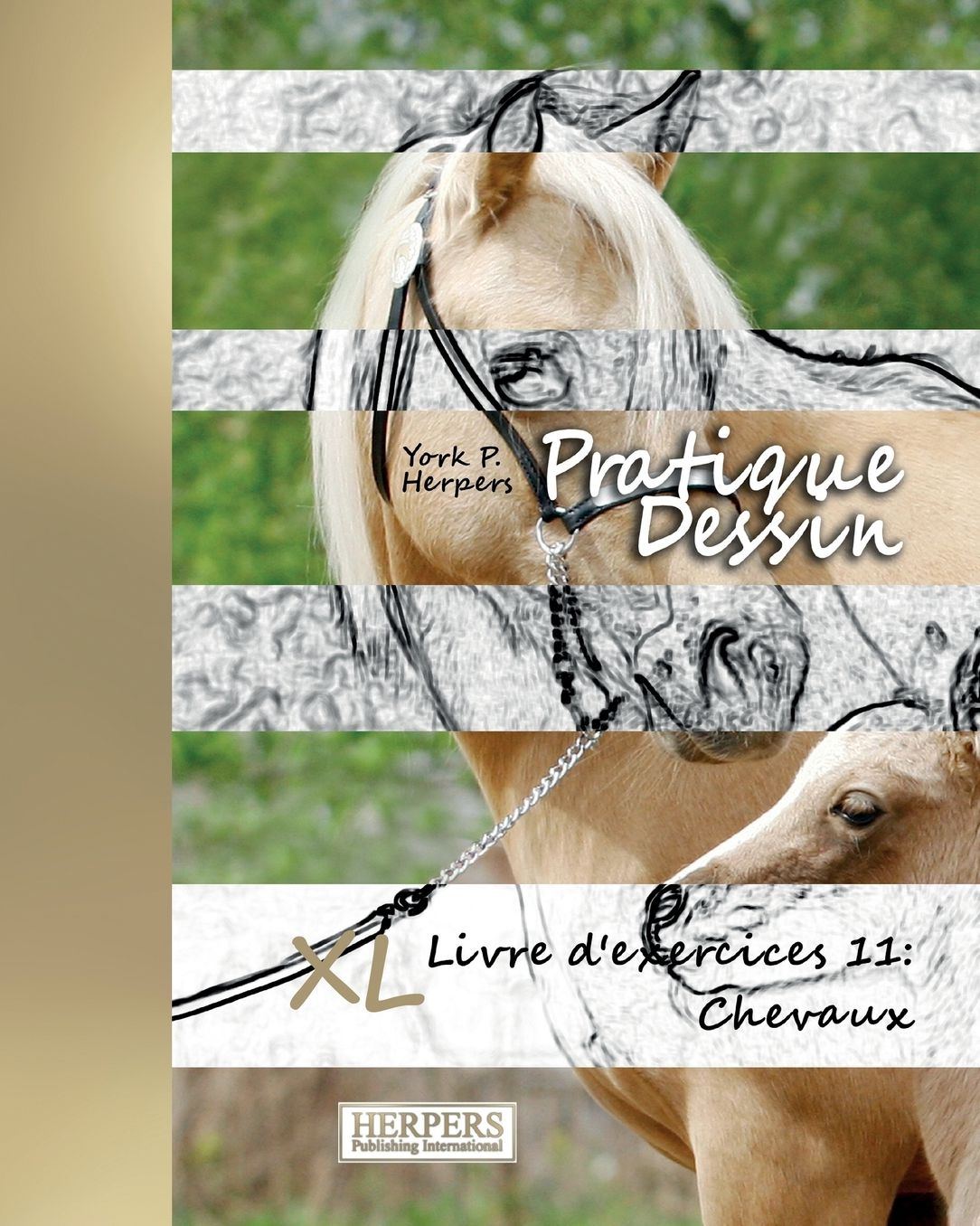 Pratique Dessin - XL Livre d'exercices 11: Chevaux