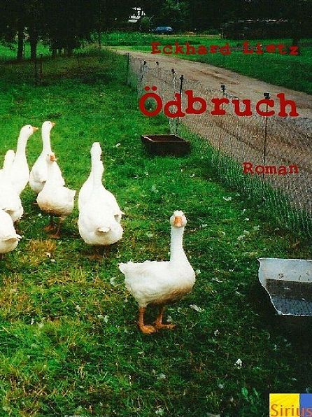 Ödbruch