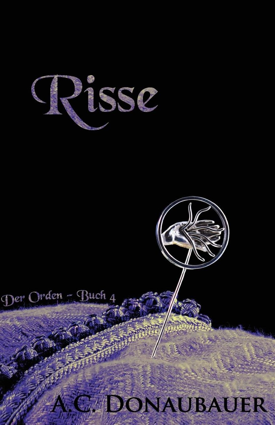 Risse: Der Orden - Buch 4