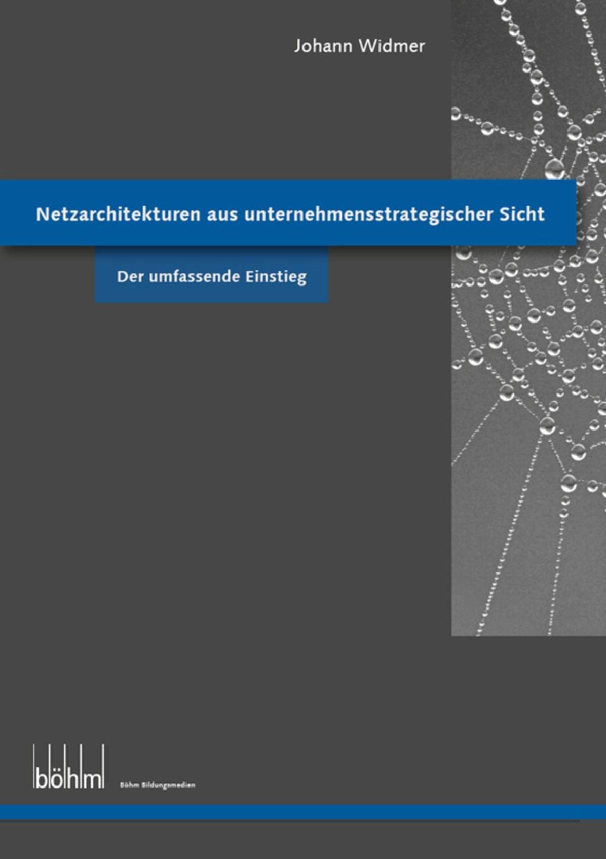 Netzarchitekturen aus unternehmensstrategischer Sicht - Theoriebuch