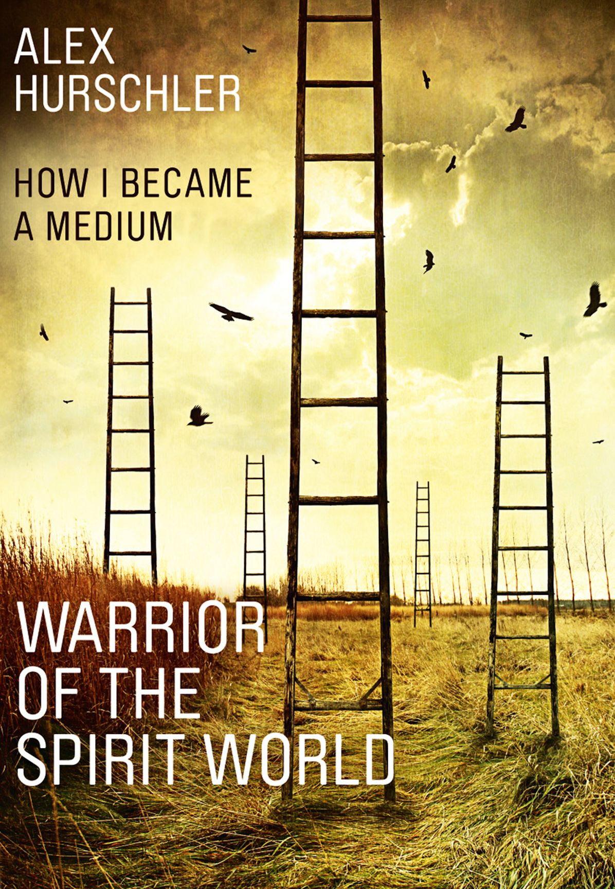 Warrior of the Spirit World: How i became a medium