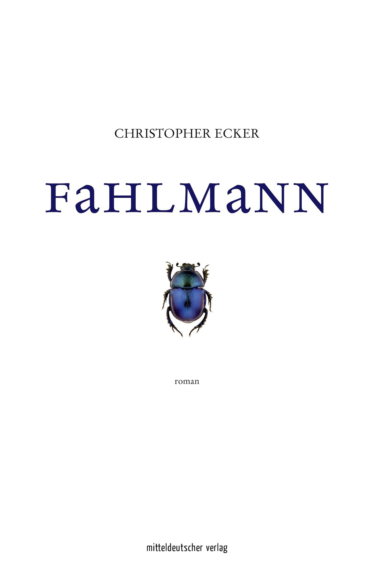 Fahlmann: Roman