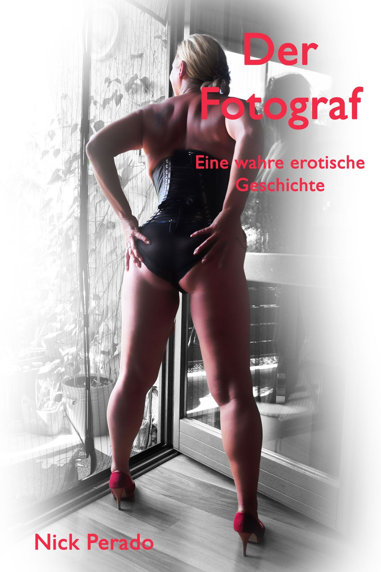 Der Fotograf : Eine wahre erotische Geschichte erlebt von Nina
