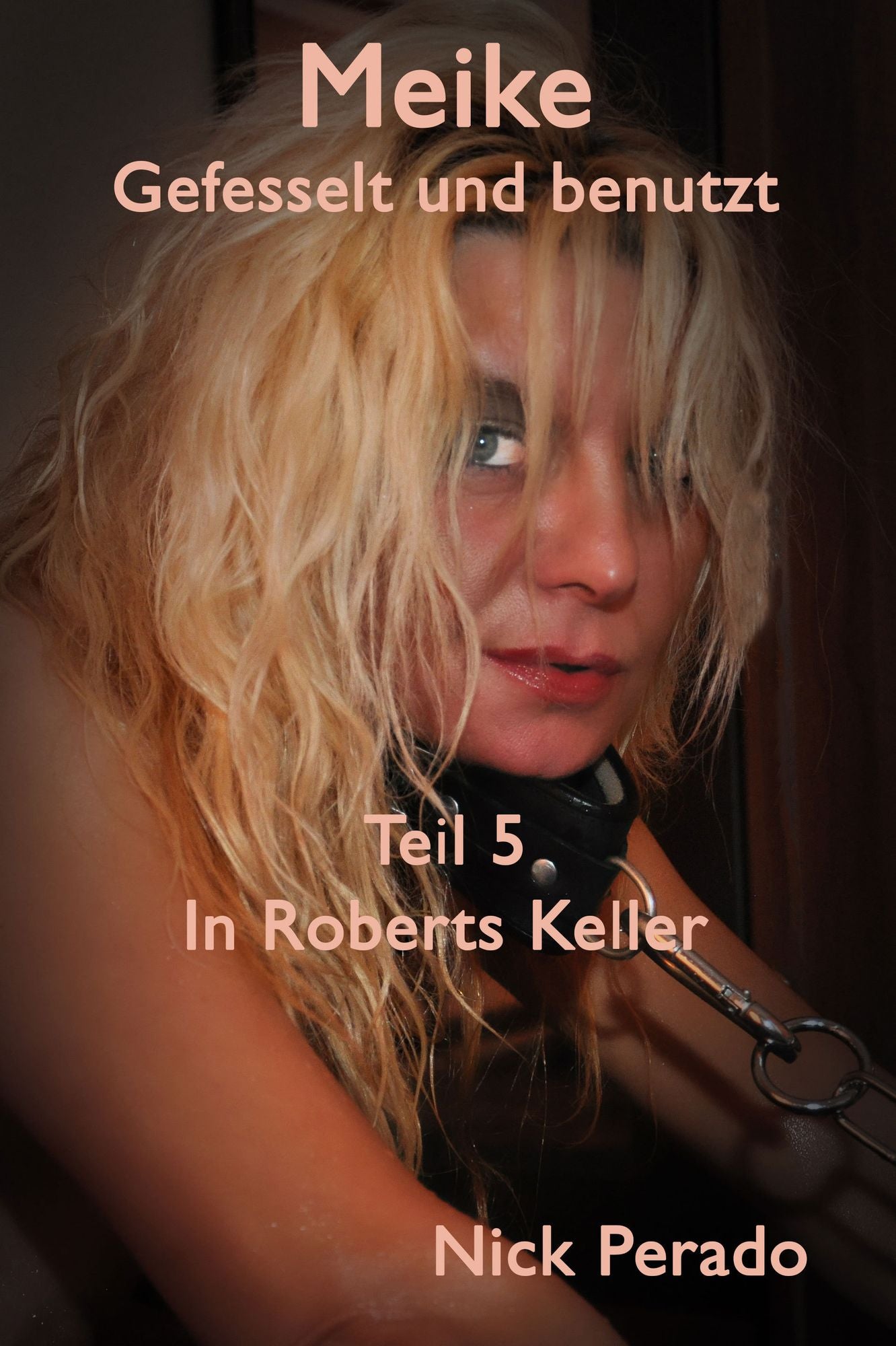 Meike - Gefesselt und benutzt - Teil 5 : In Roberts Keller