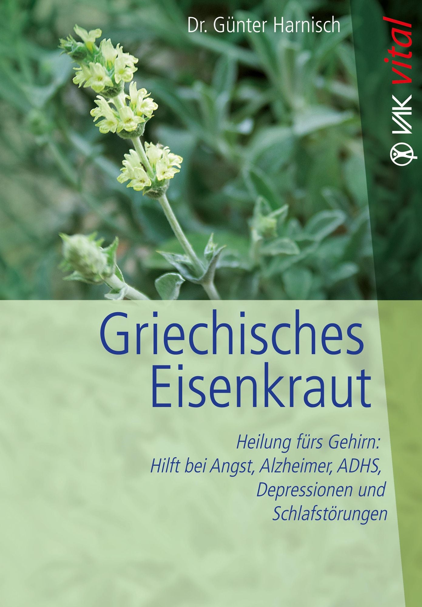 Griechisches Eisenkraut: Heilung fürs Gehirn: Hilft bei Angst, Alzheimer, ADHS, Depressionen und Schlafstörungen