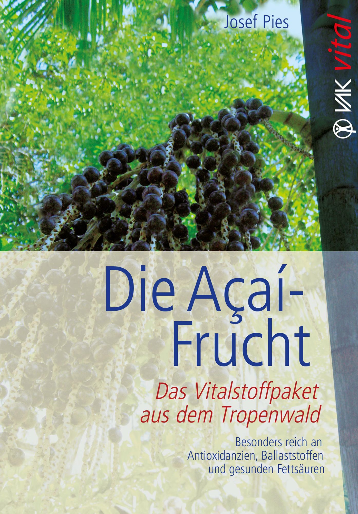 Die Açaí-Frucht: Das Vitalstoffpaket aus dem Tropenwald. Besonders reich an Antioxidanzien, Ballaststoffen und gesun
