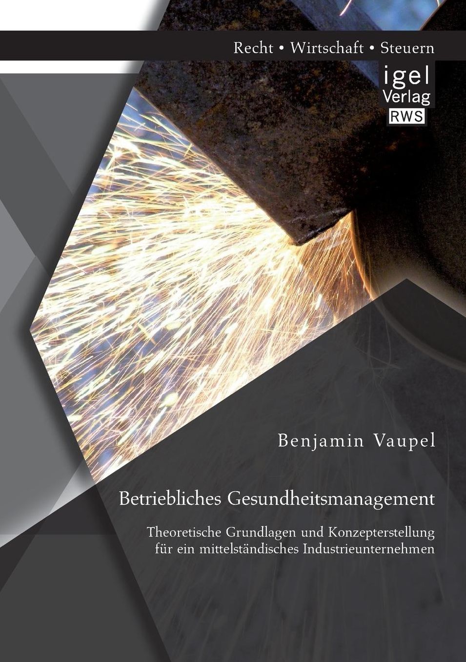 Betriebliches Gesundheitsmanagement: Theoretische Grundlagen und Konzepterstellung f r ein mittelst ndisches Industrieunternehmen