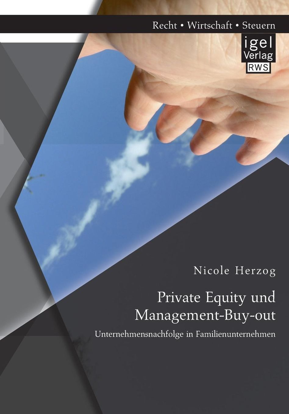 Private Equity Und Management-Buy-Out: Unternehmensnachfolge in Familienunternehmen