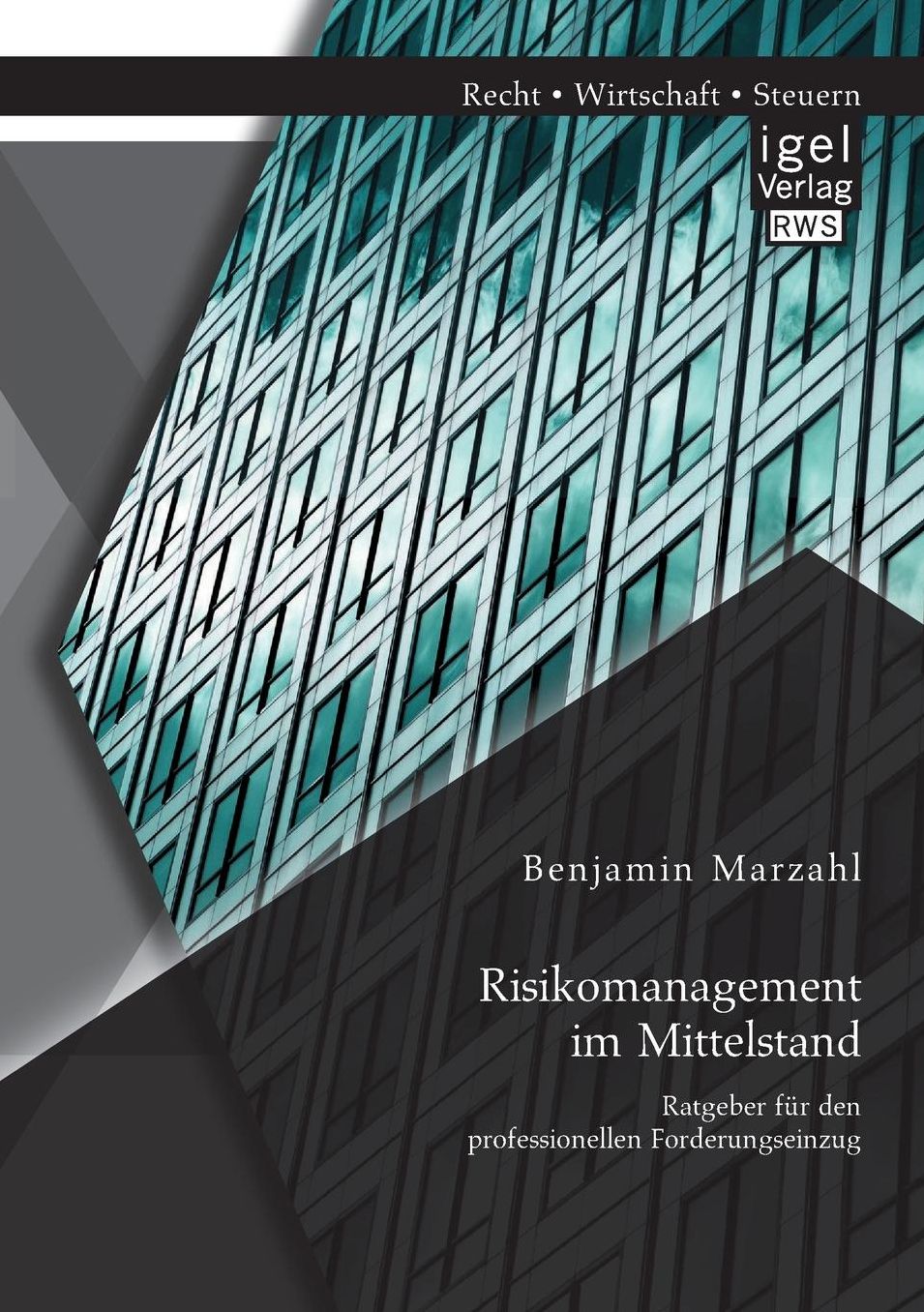 Risikomanagement im Mittelstand: Ratgeber f r den professionellen Forderungseinzug