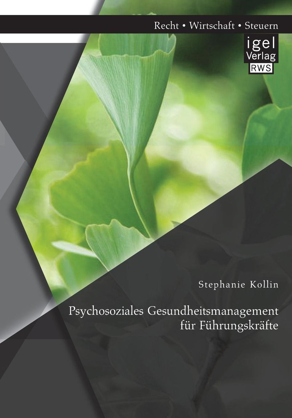 Psychosoziales Gesundheitsmanagement f r F hrungskr fte