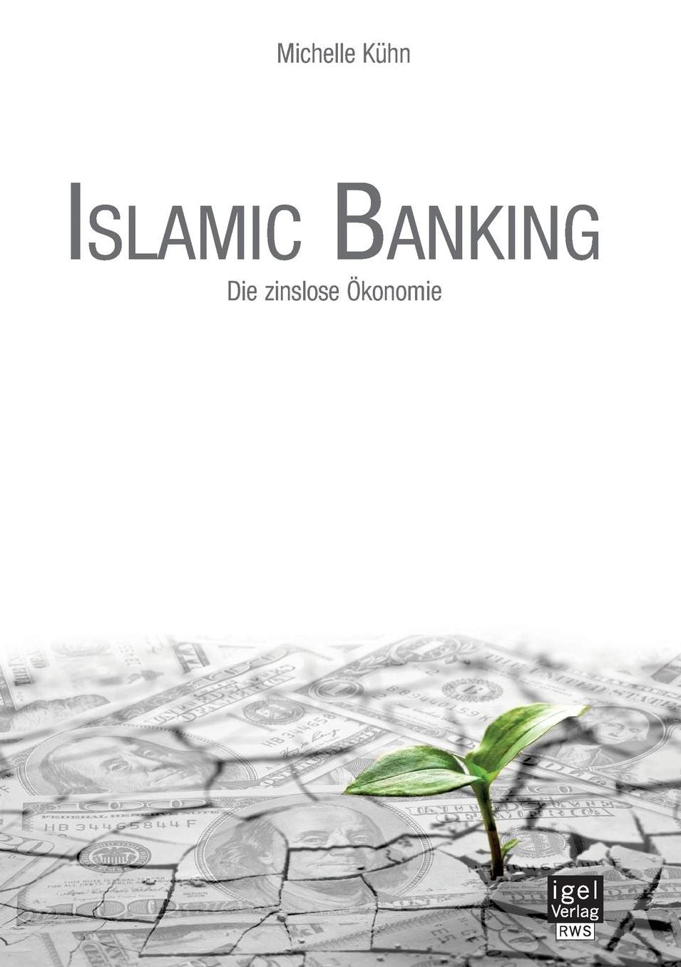 Islamic Banking: Die zinslose konomie