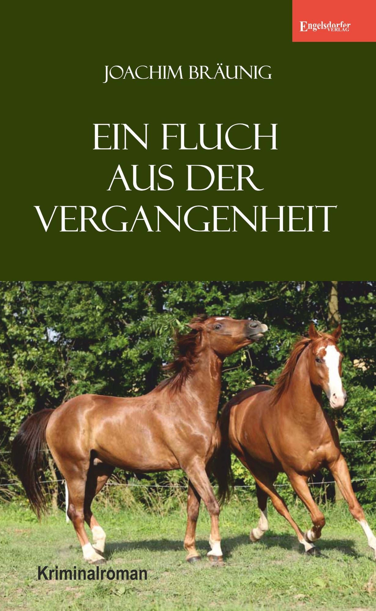 Ein Fluch aus der Vergangenheit: Kriminalroman
