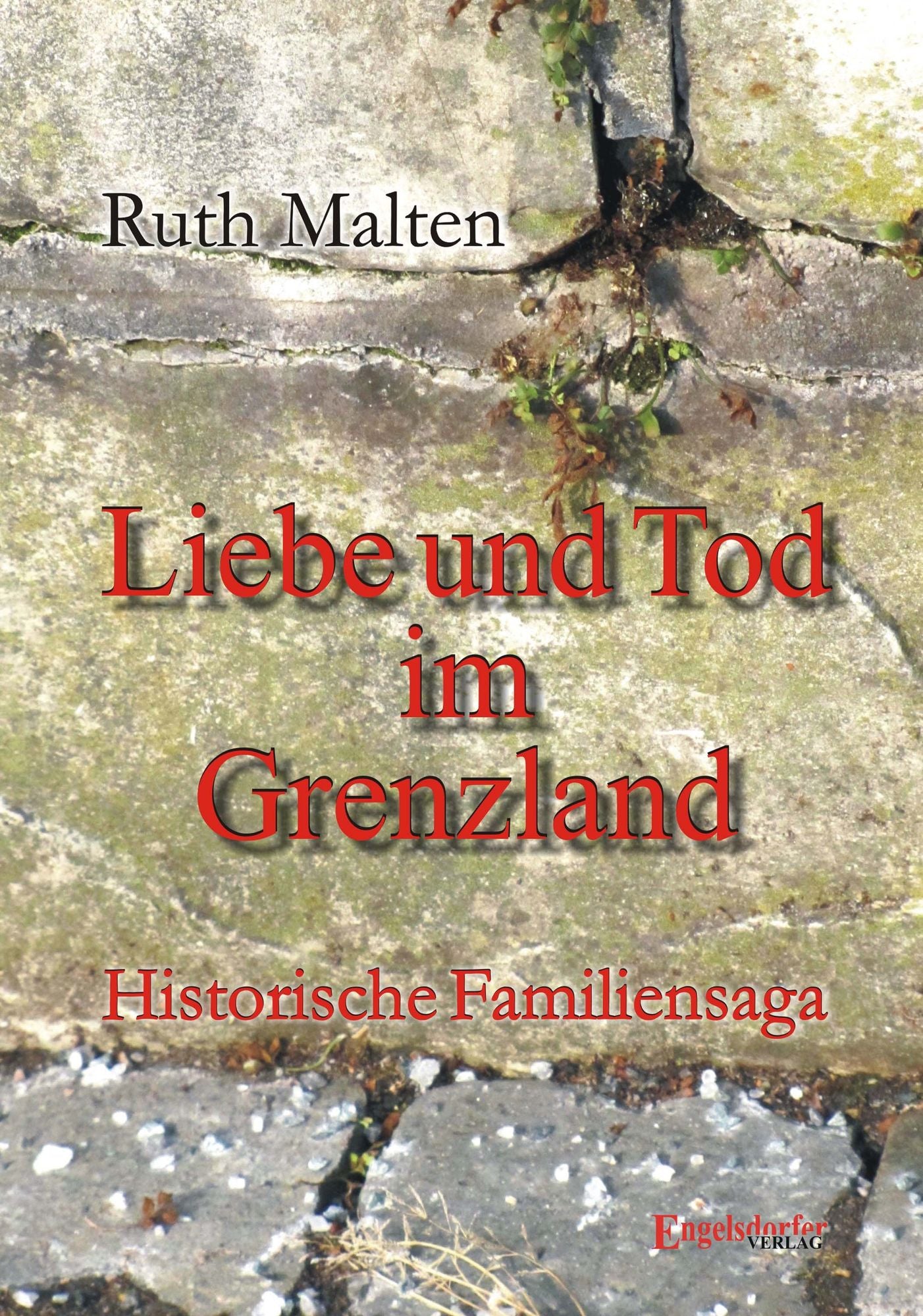 Liebe und Tod im Grenzland: Historische Familiensaga