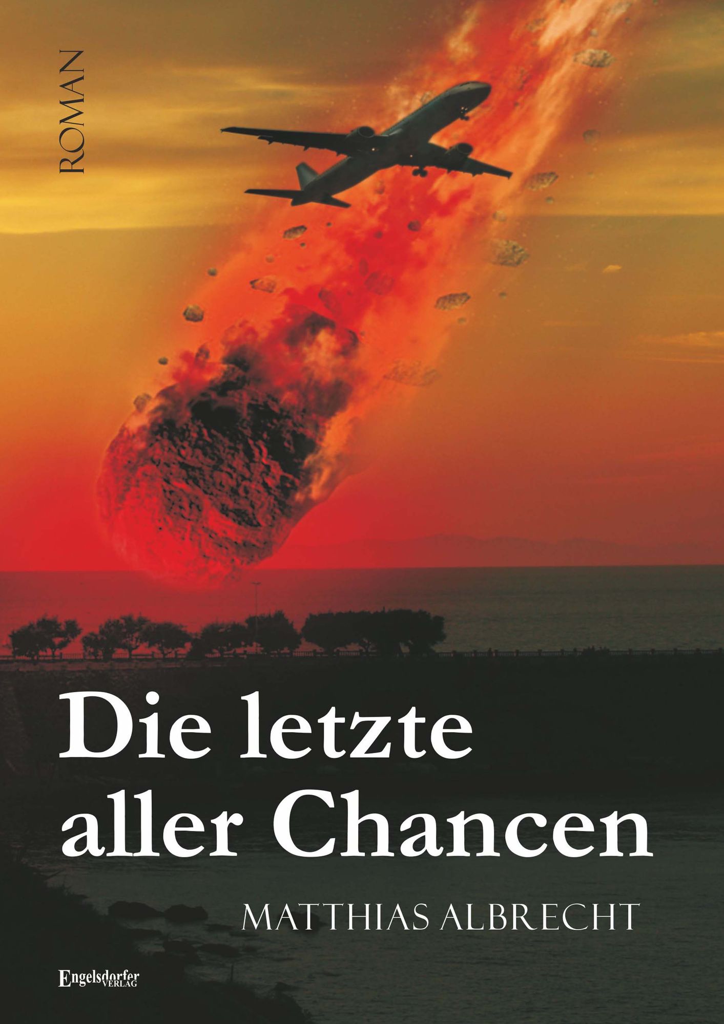 Die letzte aller Chancen: Roman