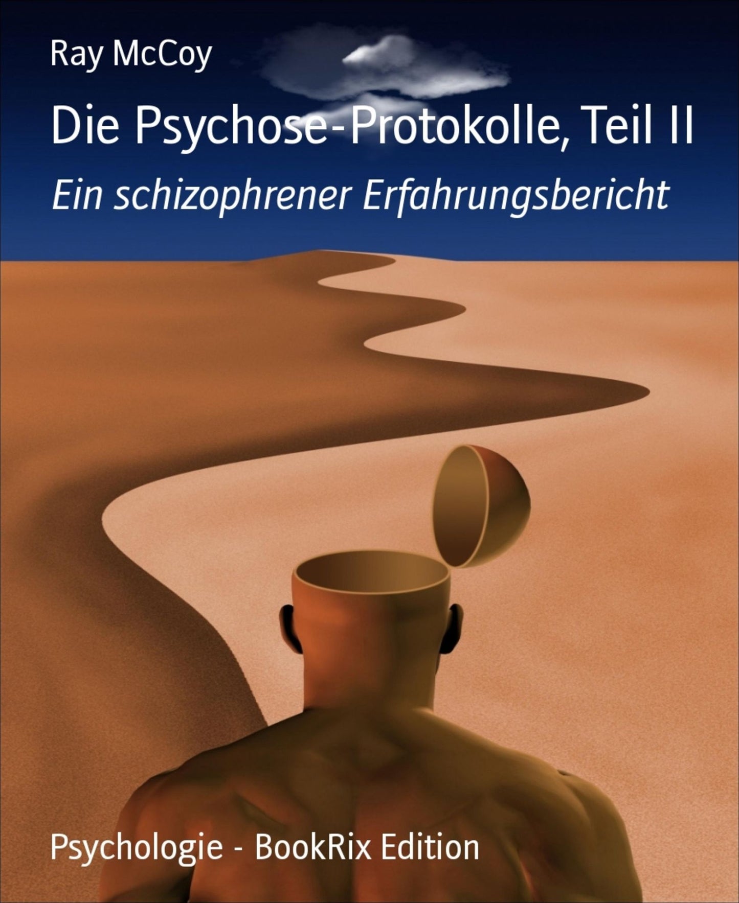 Die Psychose-Protokolle, Teil II: Ein schizophrener Erfahrungsbericht