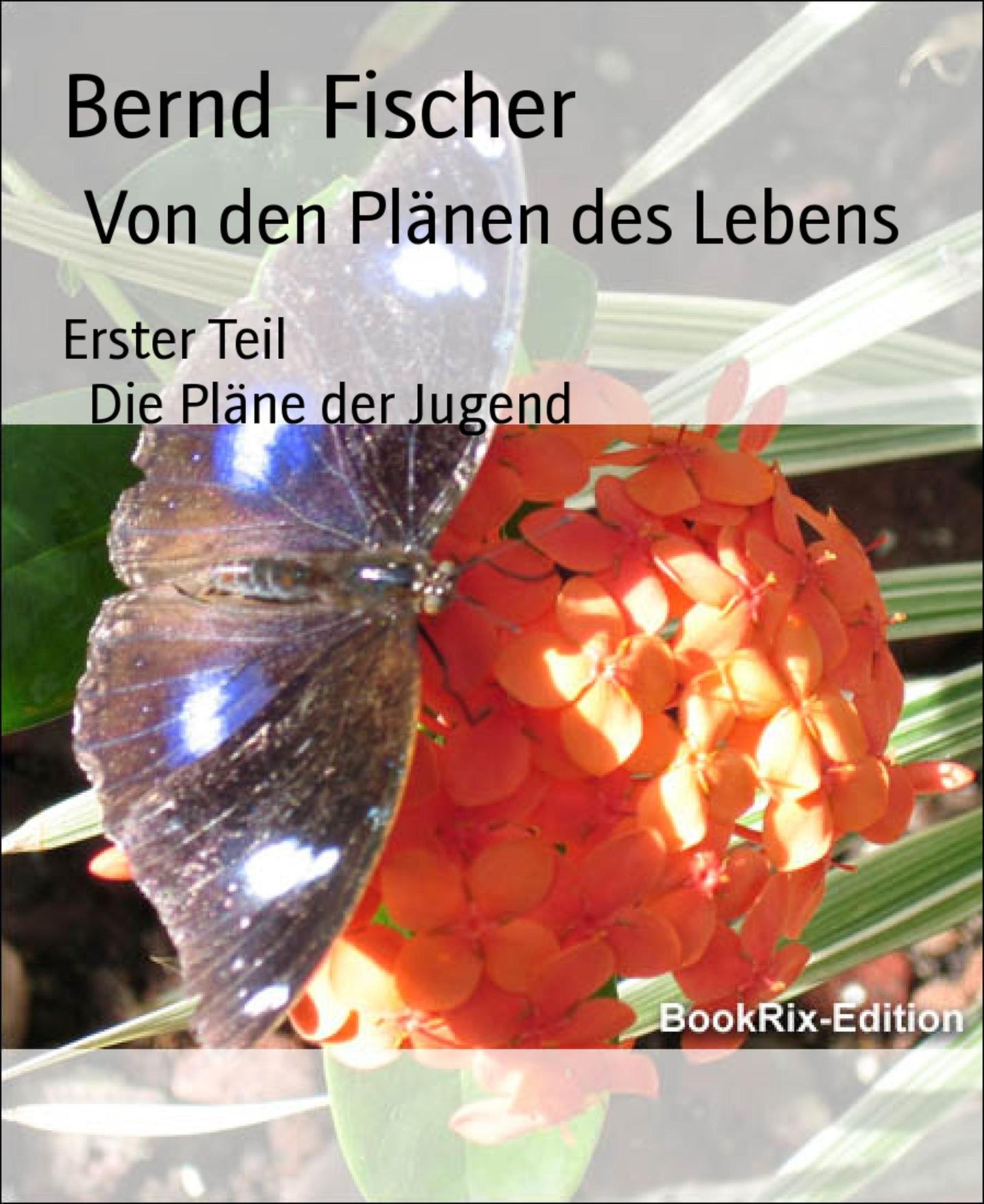 Von den Plänen des Lebens: Erster Teil Die Pläne der Jugend