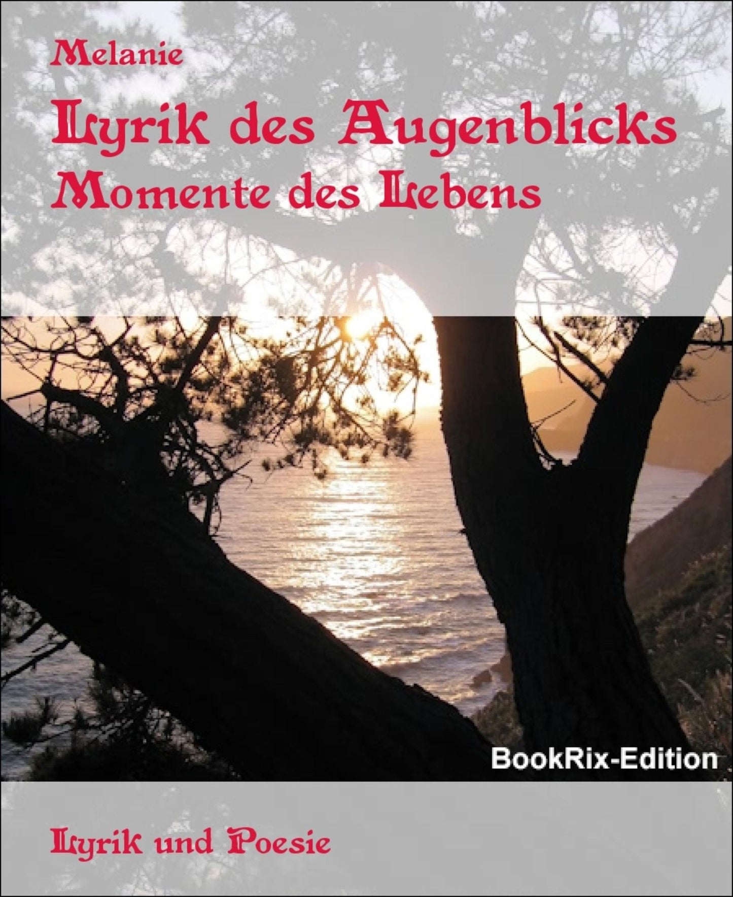 Lyrik des Augenblicks: Momente des Lebens
