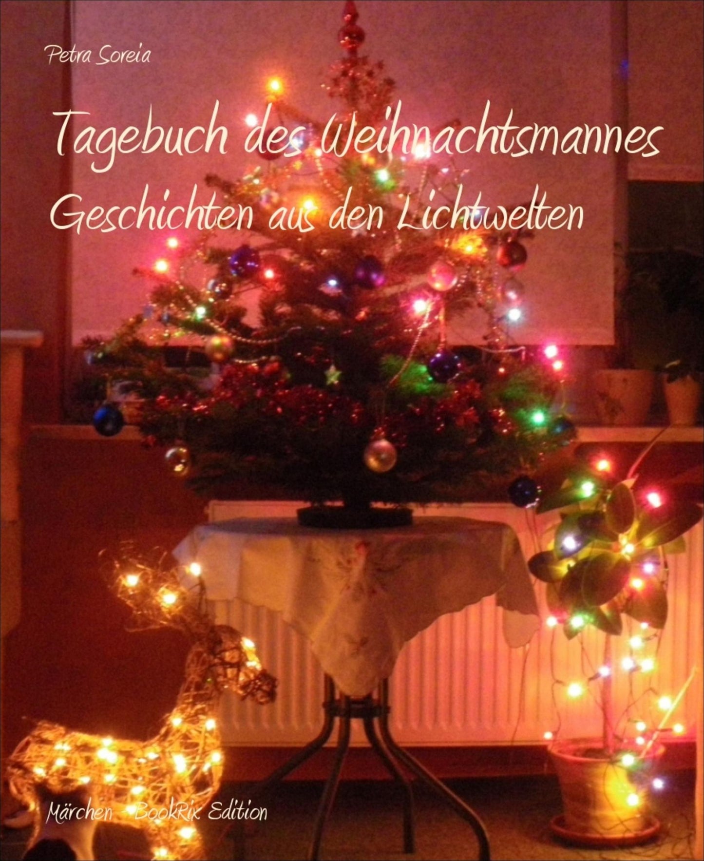 Tagebuch des Weihnachtsmannes: Geschichten aus den Lichtwelten