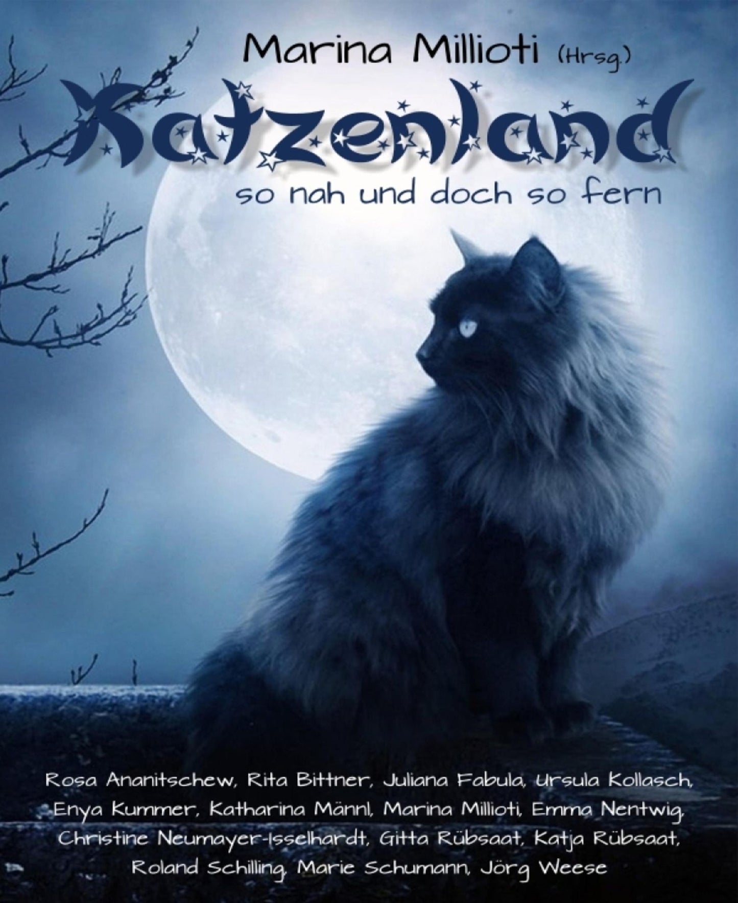 Katzenland: So nah und doch so fern!: Katzengeschichten für alle