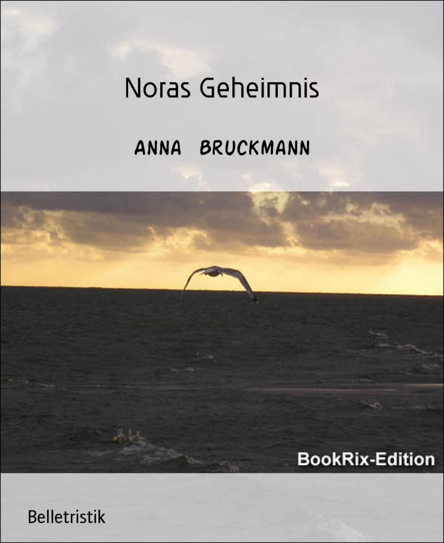 Noras Geheimnis