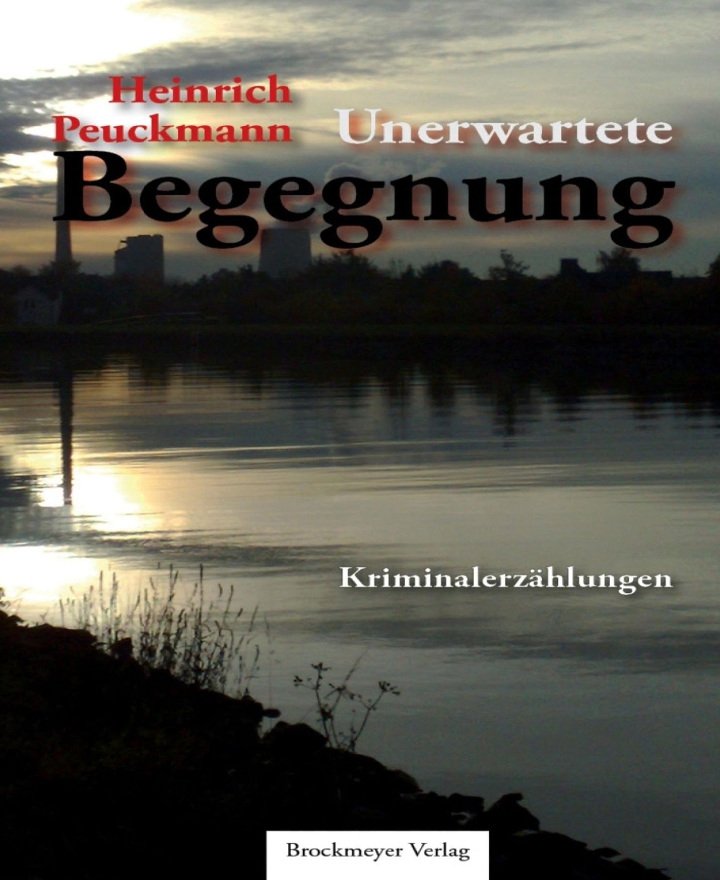 Unerwartete Begegnung.: Kriminalerzählungen