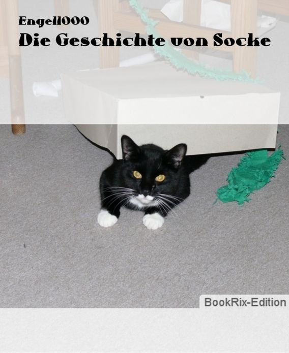 Die Geschichte von Socke