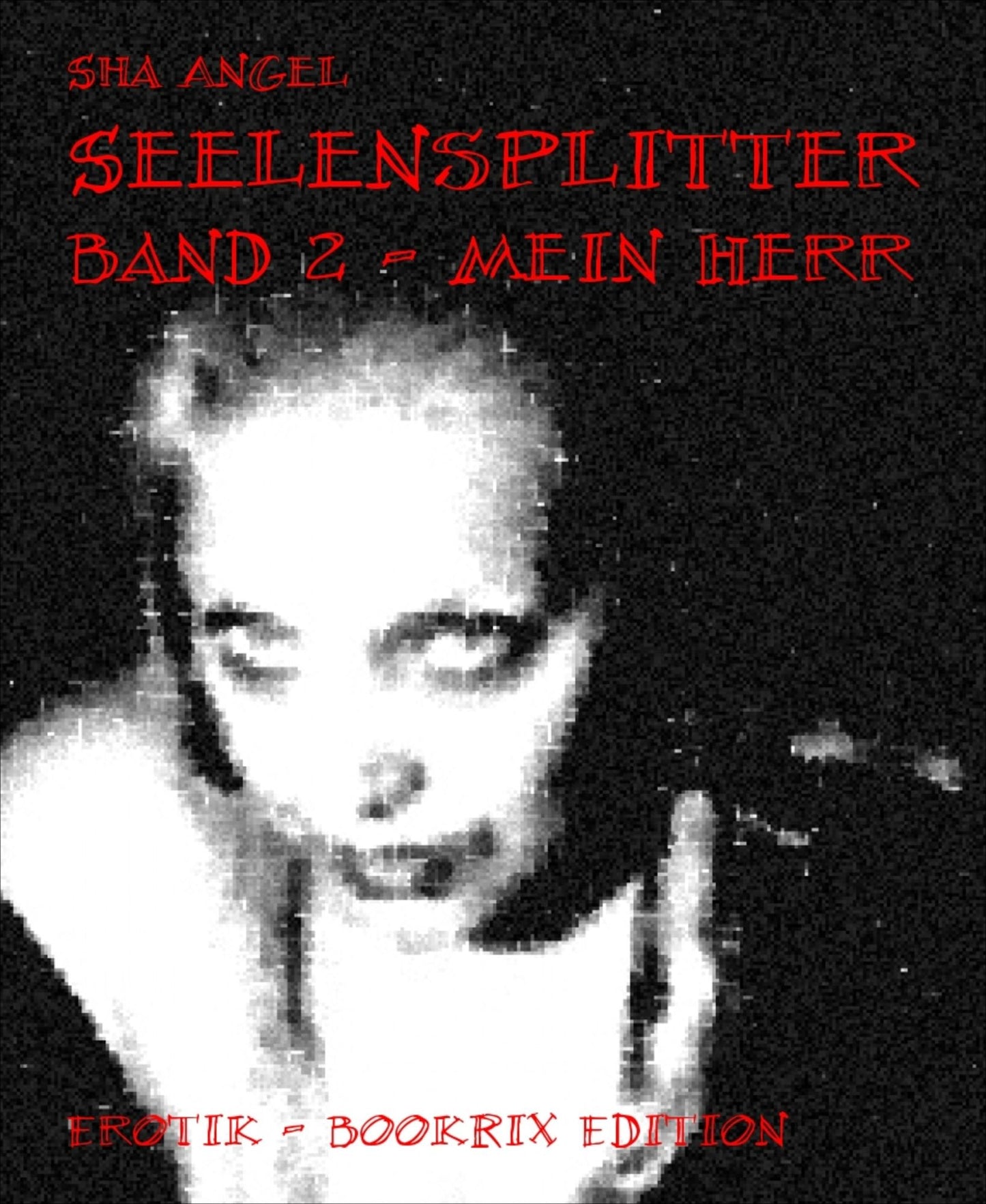 Seelensplitter: Band 2 - Mein Herr